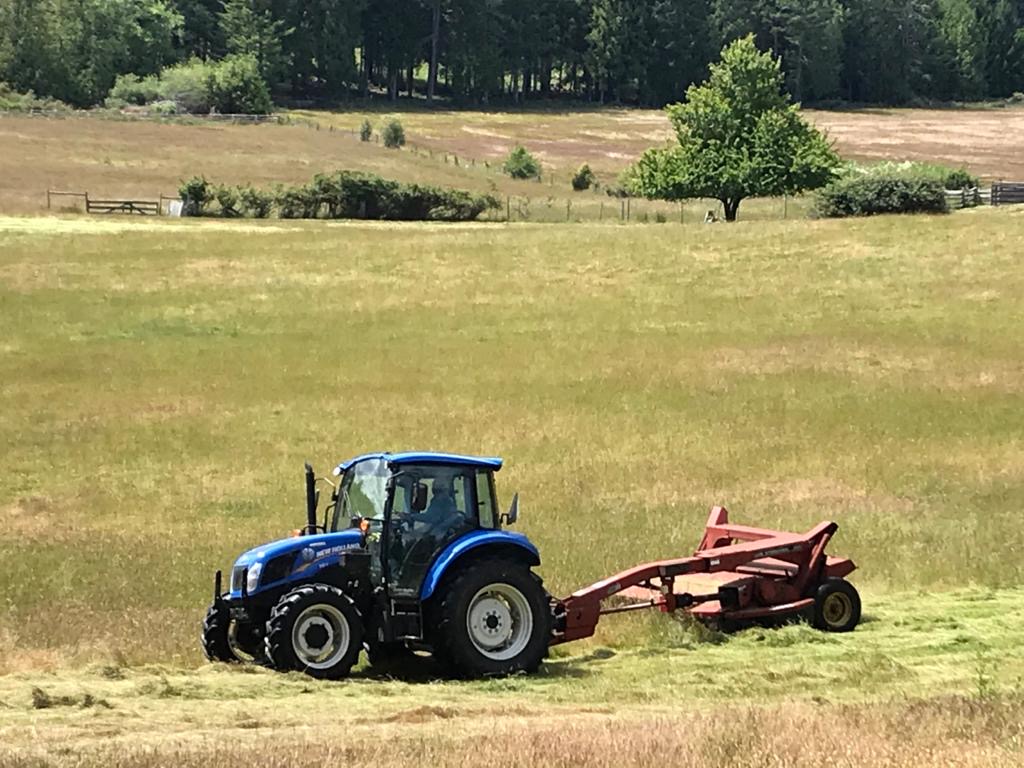The haying continues on the Salt Spring farm.